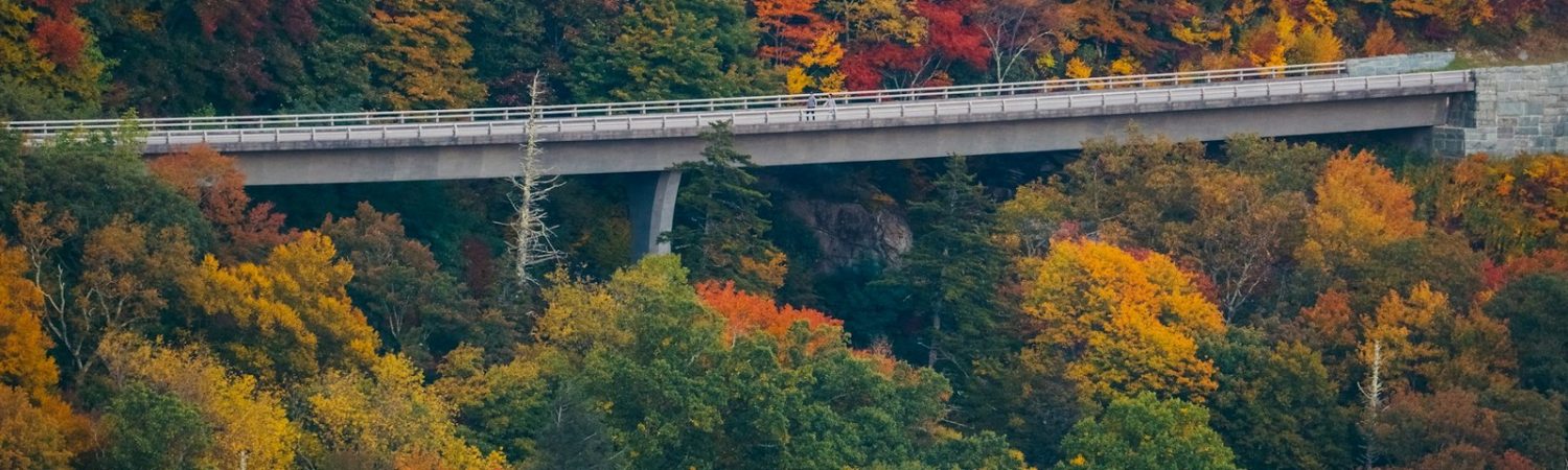 A long bridge crossing over a forest in autumn
